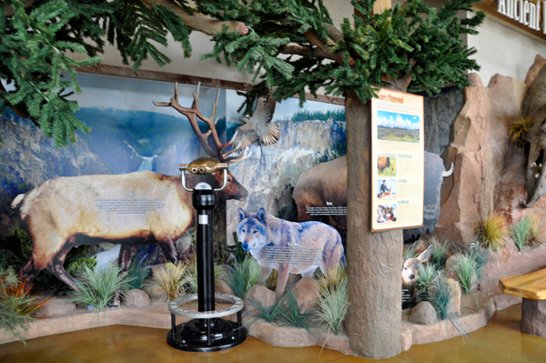 displays of wildlife Inside the Wyoming Welcome Center